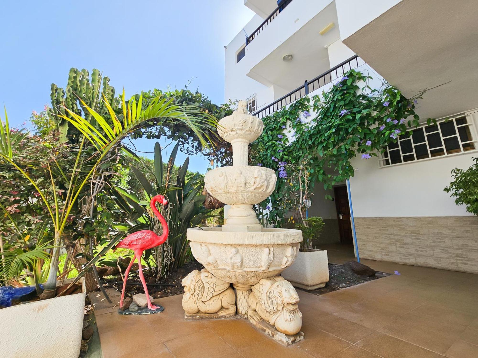 Apartamentos Bogota Playa del Ingles  Ngoại thất bức ảnh
